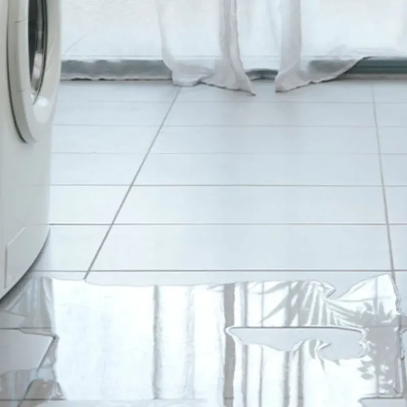 Appliance Leak Cleanup in Santa Anna, TX
