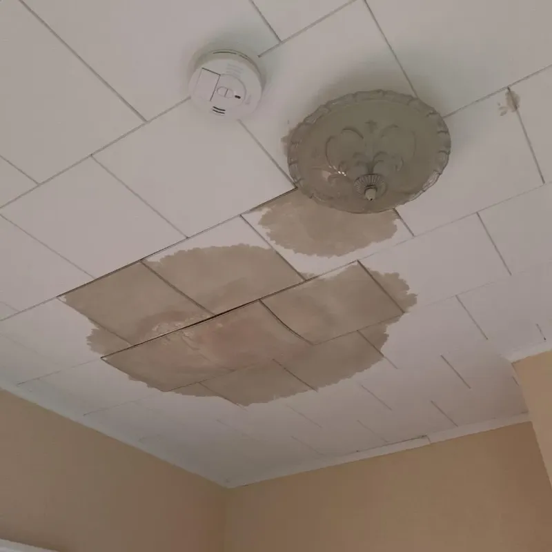 Ceiling Water Damage Repair in Santa Anna, TX