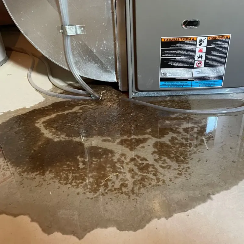 Pipe Burst and Leak Restoration in Santa Anna, TX