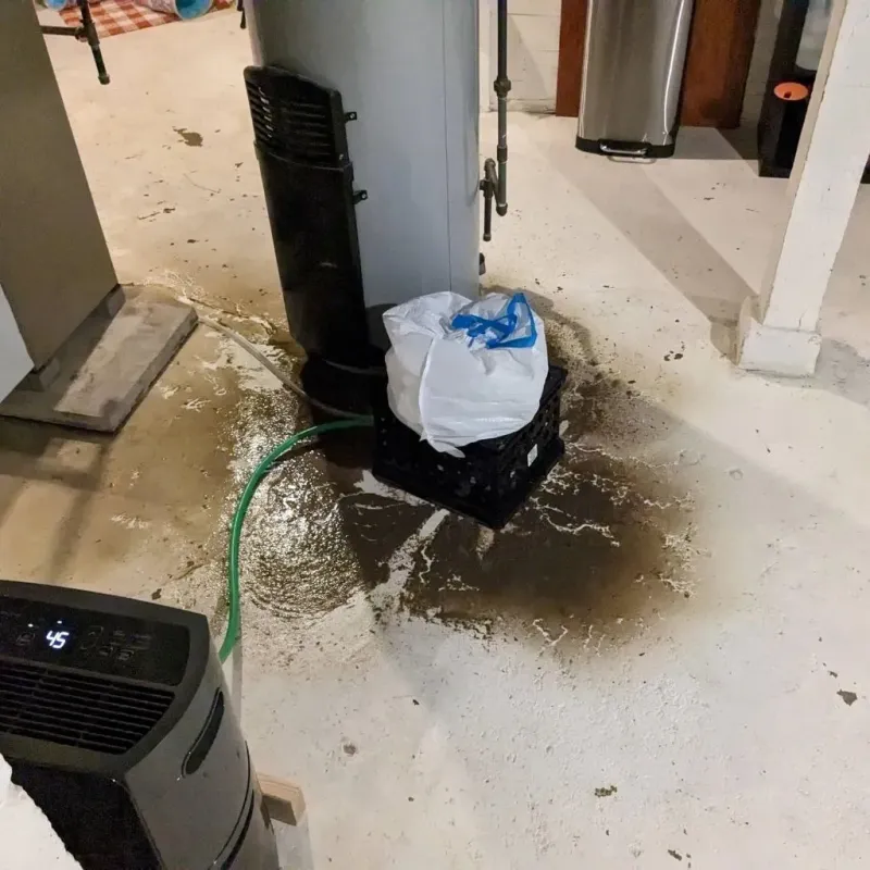 Sewage Backup Cleanup Service in Santa Anna, TX